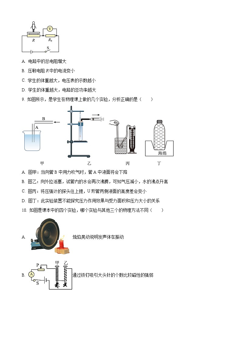 2025年江苏省高邮市中考一模物理试题(原卷版+解析版)(中考模拟)第3页