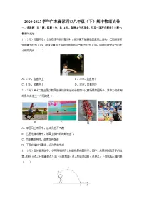广东省深圳市2024-2025学年八年级下学期期中物理试卷（解析版）
