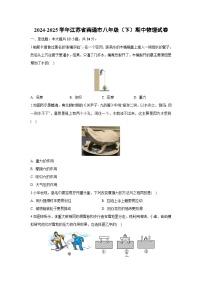 江苏省南通市2024-2025学年八年级下学期期中物理试卷（解析版）