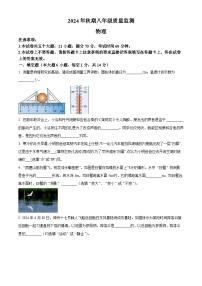 河南省驻马店市驿城区部分初中2024-2025学年八年级上学期期末物理试题（原卷版+解析版）