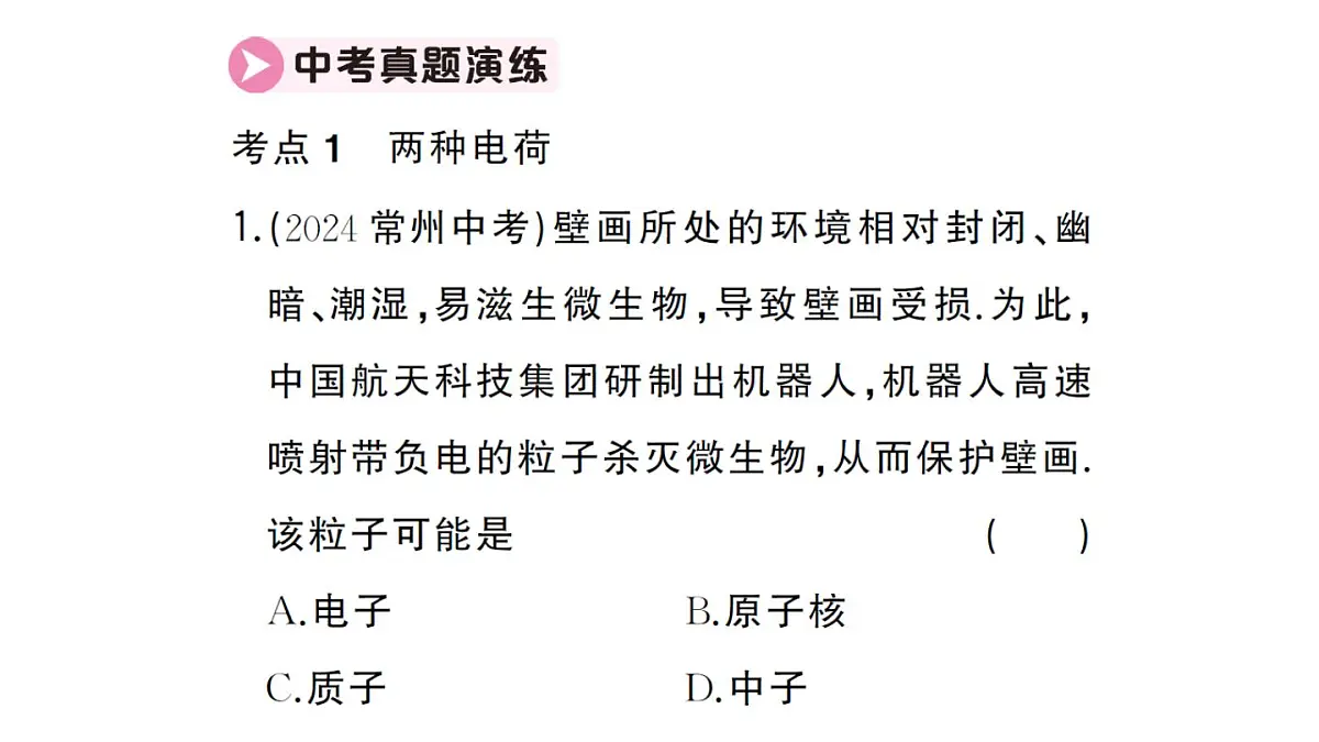 初中物理新人教版九年级全册第十五章章末复习训练作业课件2025秋第8页