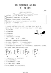2024北京朝阳初三（上）期末物理试卷（含答案）