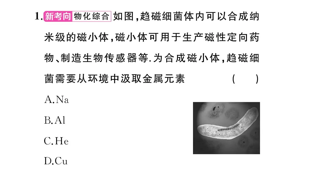 初中物理新沪科版九年级全册第十九章中考新考向 跨学科实践题作业课件2025秋(含答案)第3页