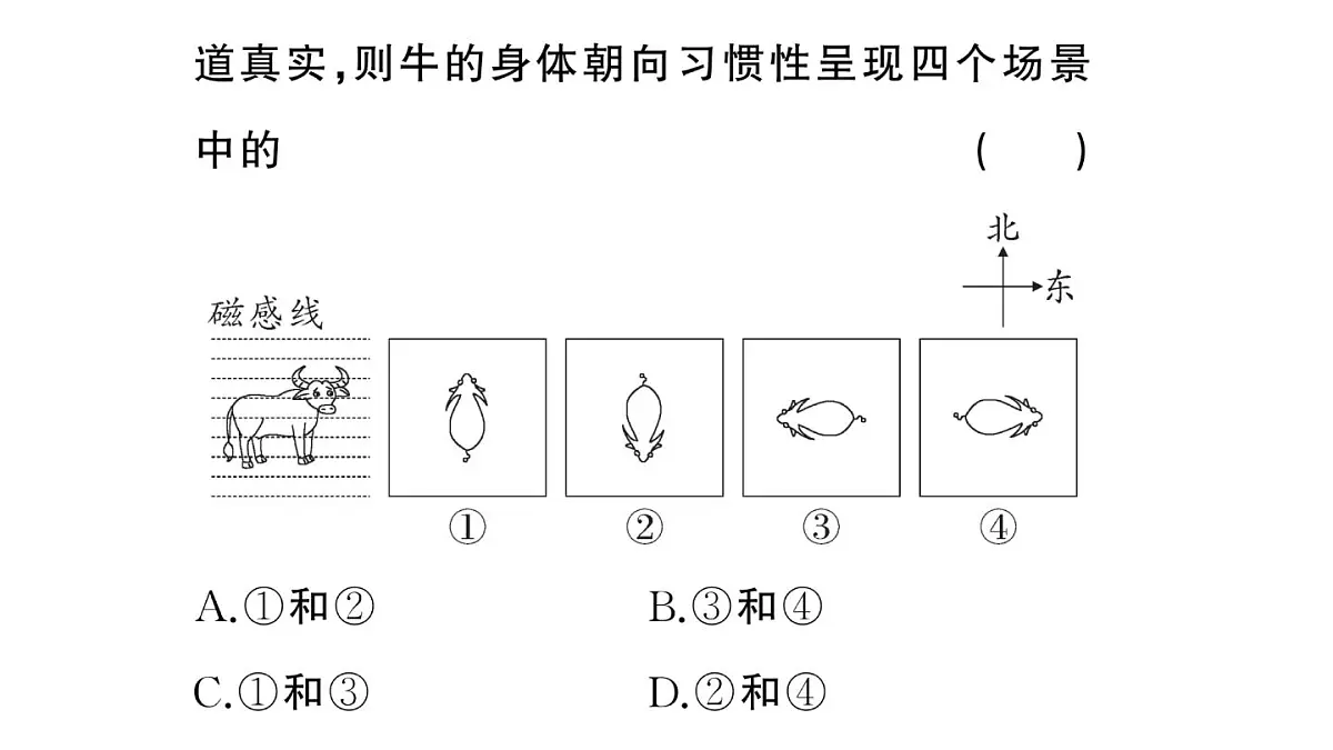 初中物理新沪科版九年级全册第十九章中考新考向 跨学科实践题作业课件2025秋(含答案)第5页