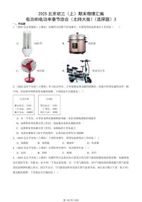2025北京初三（上）期末真题物理汇编：电功和电功率章节综合（北师大版）（选择题）3