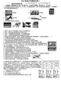2025物理中考模拟卷三