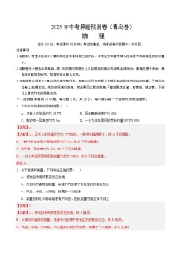 2025年中考押题预测卷：物理（山东青岛卷）（解析卷）