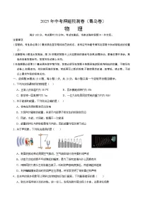 2025年中考押题预测卷：物理（山东青岛卷）（考试版）