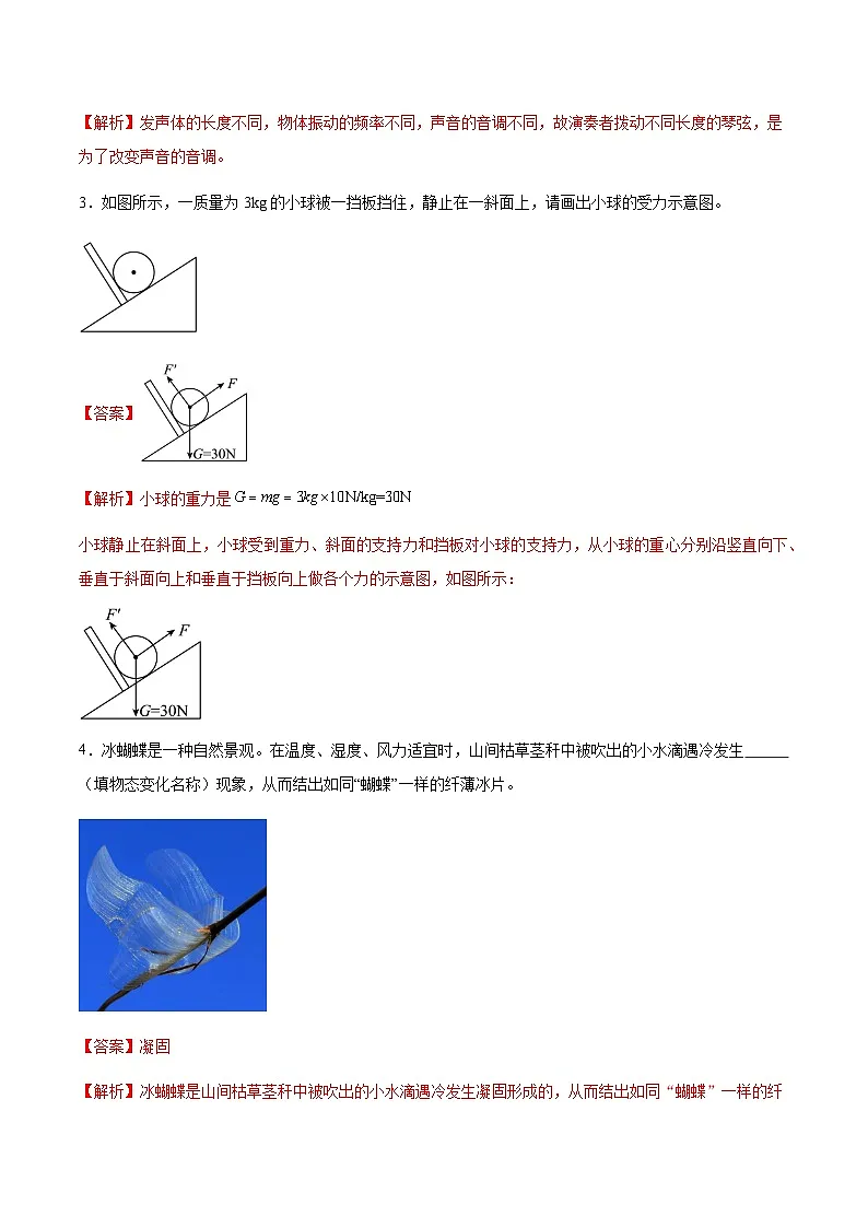 2025年中考押题预测卷:物理(安徽卷02)(解析版)第2页