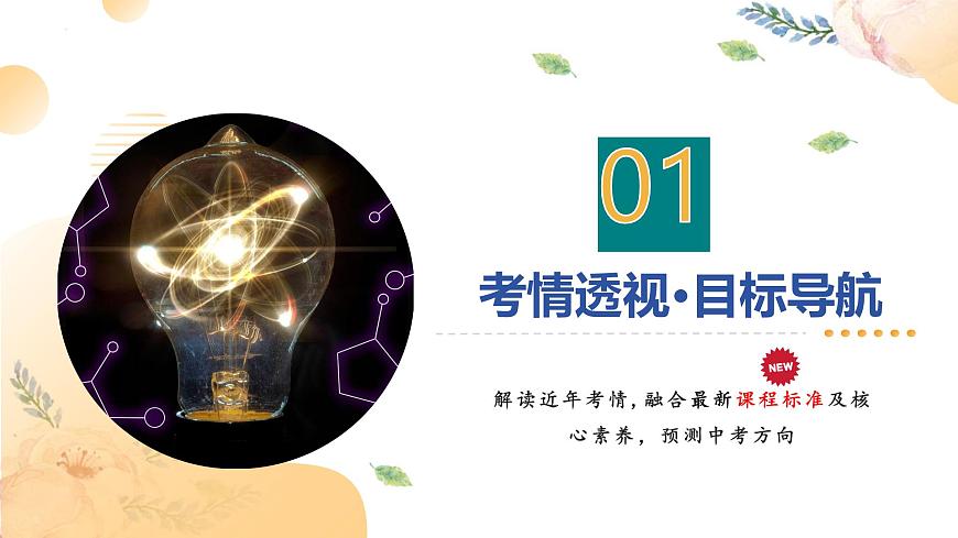 專題18 電學(xué)實(shí)驗(yàn)復(fù)習(xí)（課件）-2025年中考物理二輪復(fù)習(xí)（全國通用）第5頁