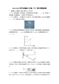 安徽省铜陵市2024-2025学年八年级下学期期中考试物理试题