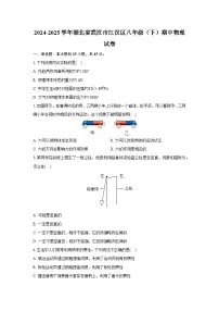 湖北省武汉市江汉区2024-2025学年八年级下学期期中考试物理试题（解析版）