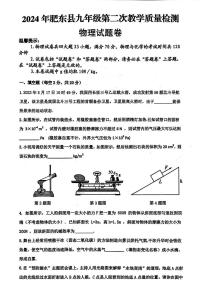 2024年安徽省合肥市肥东县中考二模物理试化学试卷（中考模拟）