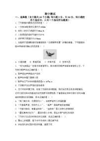 人教版（2024）八年级物理上册  期中测试（试卷含答案）
