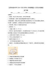 江苏省徐州市2024-2025学年八年级下学期5月份月考模拟练习卷 (3)物理试卷 （解析版）
