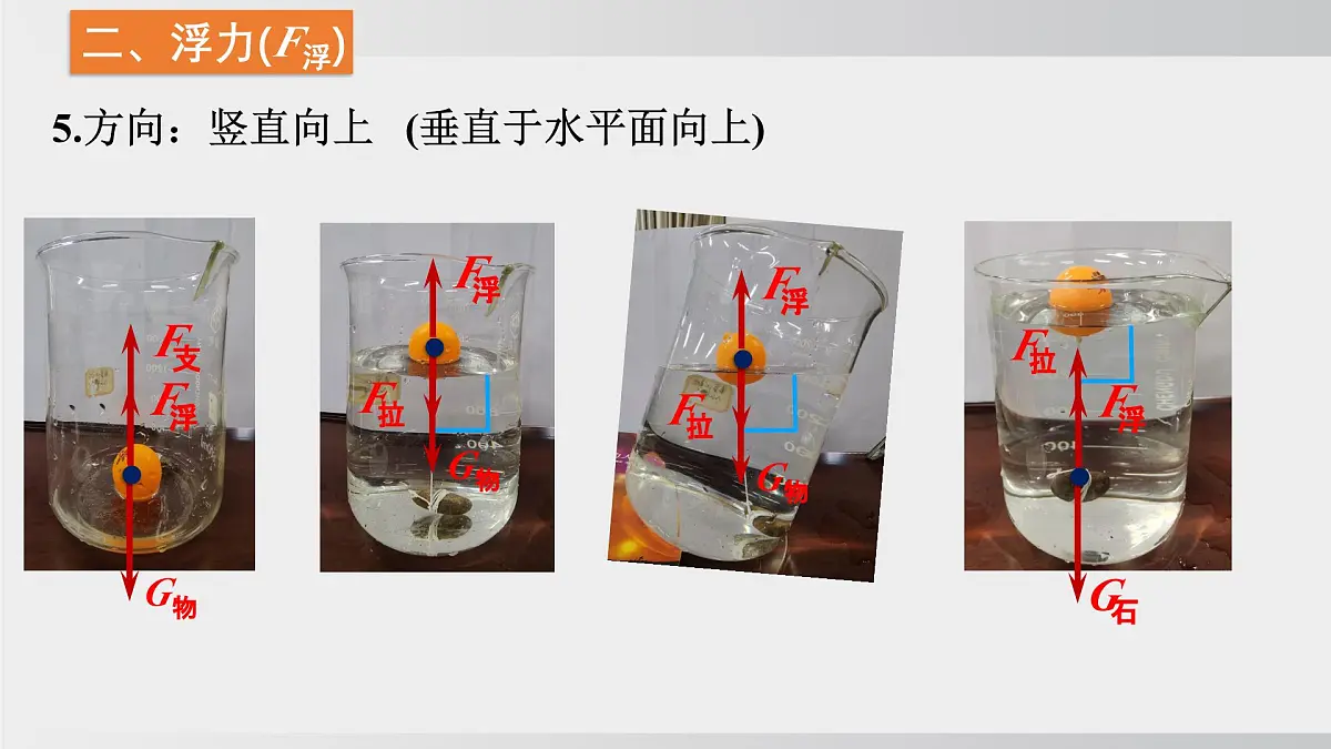 2025年春沪科版物理八年级下册上课课件 9.1 认识浮力第5页