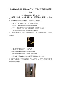 2025年海南省海口市部分学校初中学业水平考试物理(二模)模拟试题(中考模拟)
