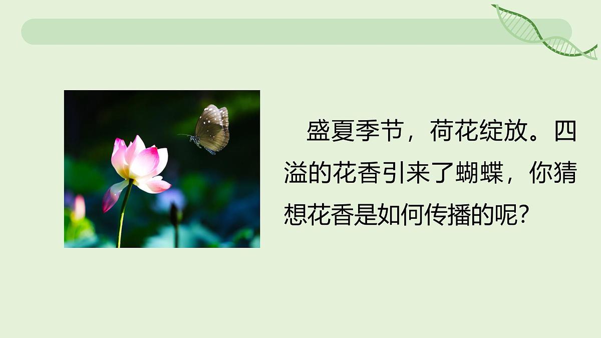13.2 分子动理论的初步知识—初中物理九年级全一册 同步教学课件(人教版2024)第3页