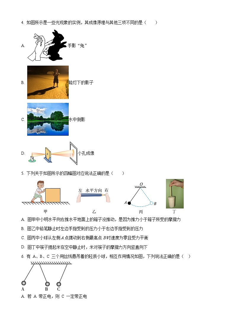 2025年黑龙江省鸡西市中考二模物理试题(中考模拟)第2页