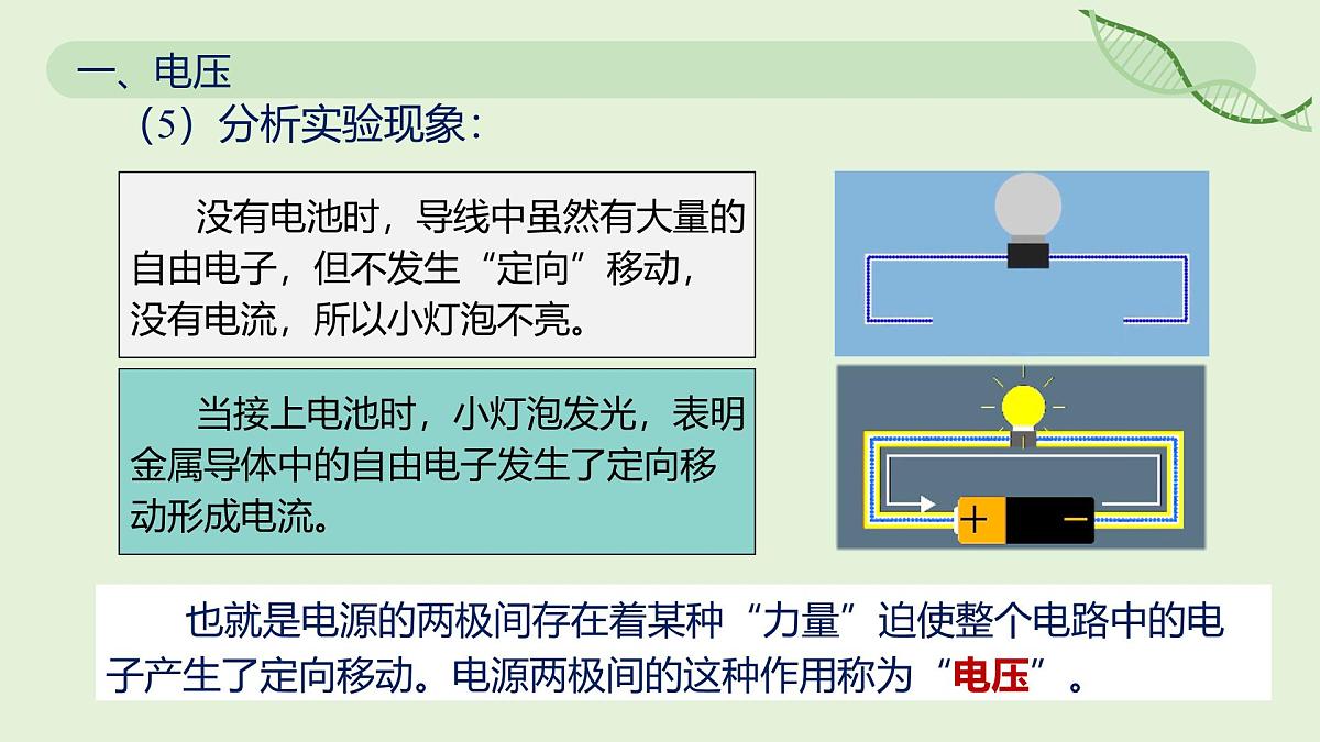 16.1 电压—初中物理九年级全一册 同步教学课件(人教版2024)第7页