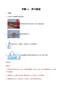 2025年中考物理专题复习讲义专题11 浮力基础（习题精选练习）（解析版）