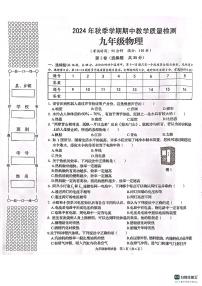 广西壮族自治区贺州市昭平县2024-2025学年九年级上学期11月期中物理试题