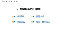 初中物理教科版(2024)八年级上册(2024)跨学科实践:眼睛说课ppt课件