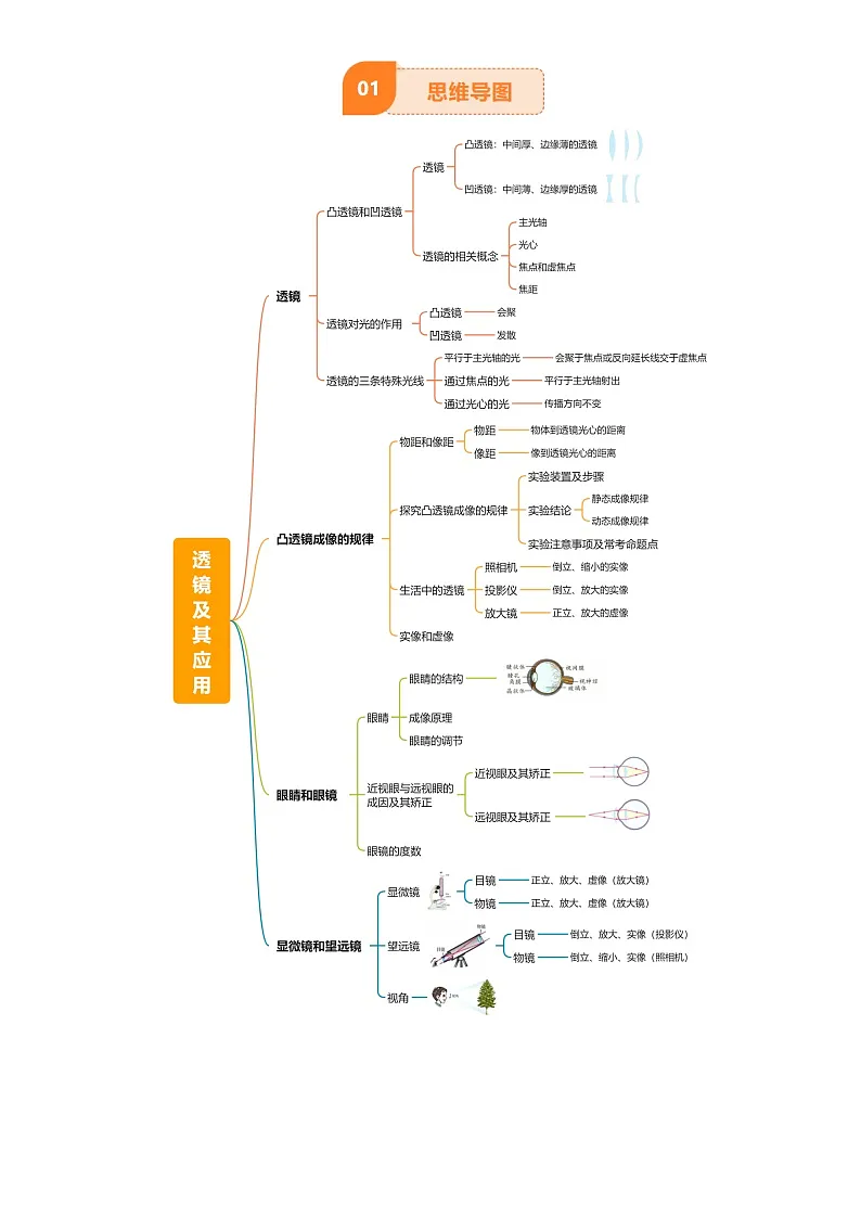 2025年中考物理专项复习讲义专题03 透镜及其应用(4大模块知识清单+4个易混易错+3种方法技巧+典例真题精析)(解析版)第2页