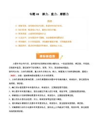 2025年中考物理专项复习讲义专题08 弹力、重力、摩擦力(4大模块知识清单+5个易混易错+5种方法技巧+典例真题精析)(解析版)
