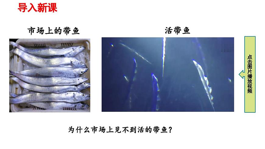 2025年春人教版物理八年級下冊 第九章 第2節(jié) 《液體壓強》 課件第2頁