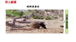 2025年春人教版物理八年級下冊 第八章 第4節(jié)  《同一直線上二力的合成》課件