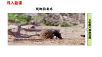 物理力教课课件ppt