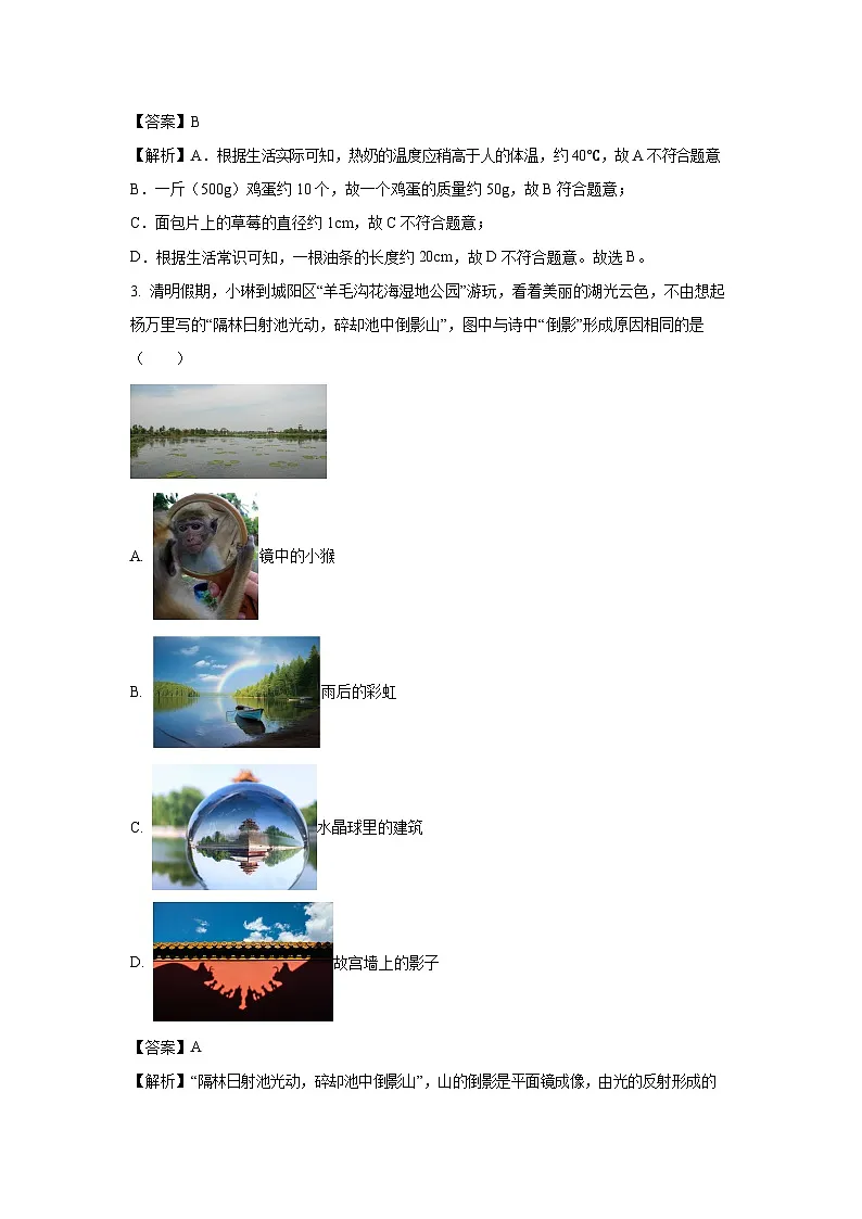物理:2025年山东省青岛市城阳区中考一模试题(解析版)第2页