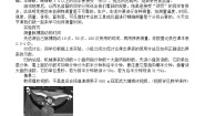 初中北师大版（2024）比较物体运动的快慢教案