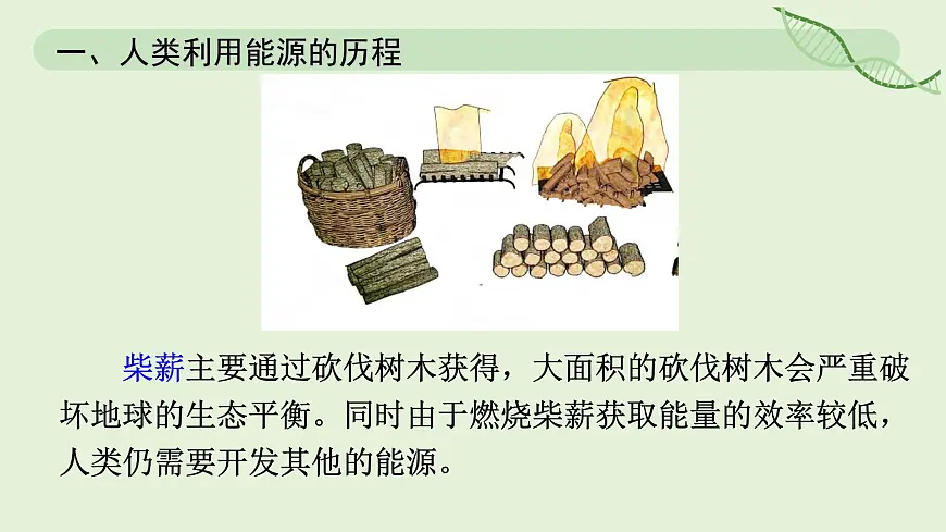 22.1 能源利用的现状和面临的挑战—初中物理九年级全一册 同步教学课件(人教版2024)第6页