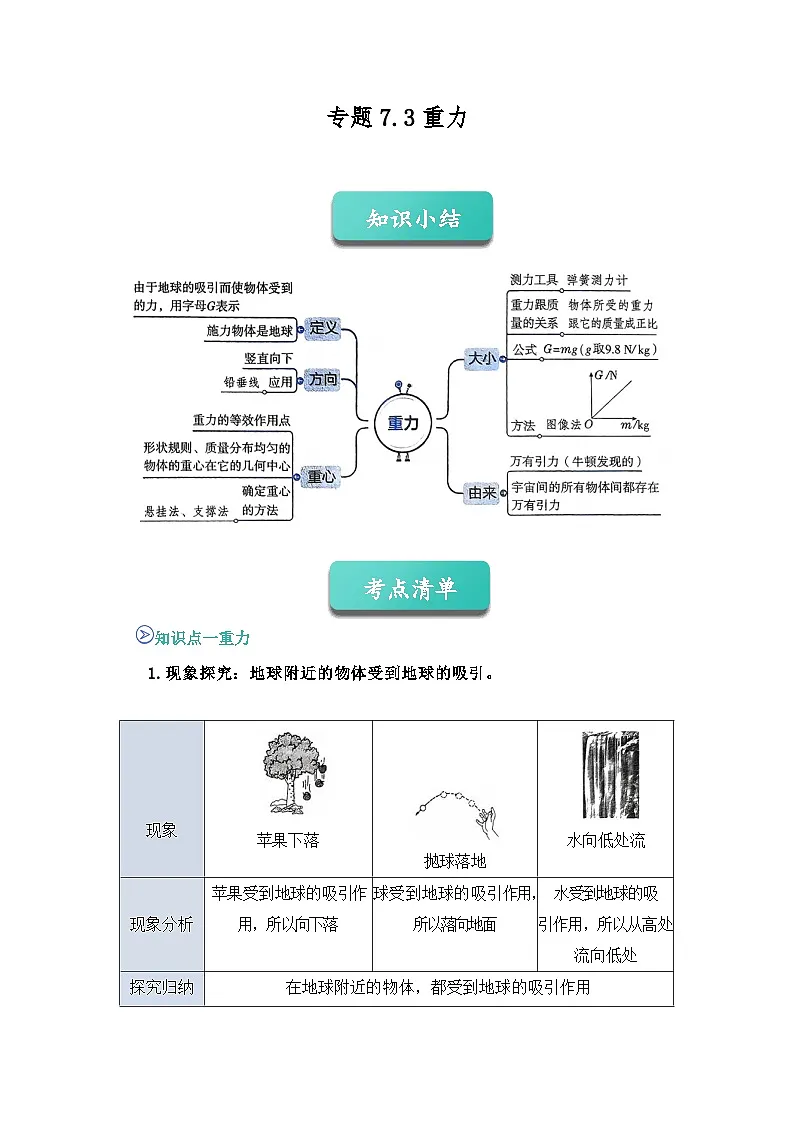专题03 重力(知识点+例题+习题)-2024-2025学年八下物理期末考点专题(人教版2024)(原卷版)第1页