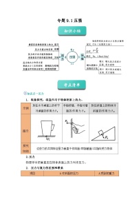 专题08 压强（知识点+例题+习题）-2024-2025学年八下物理期末考点专题（人教版2024）