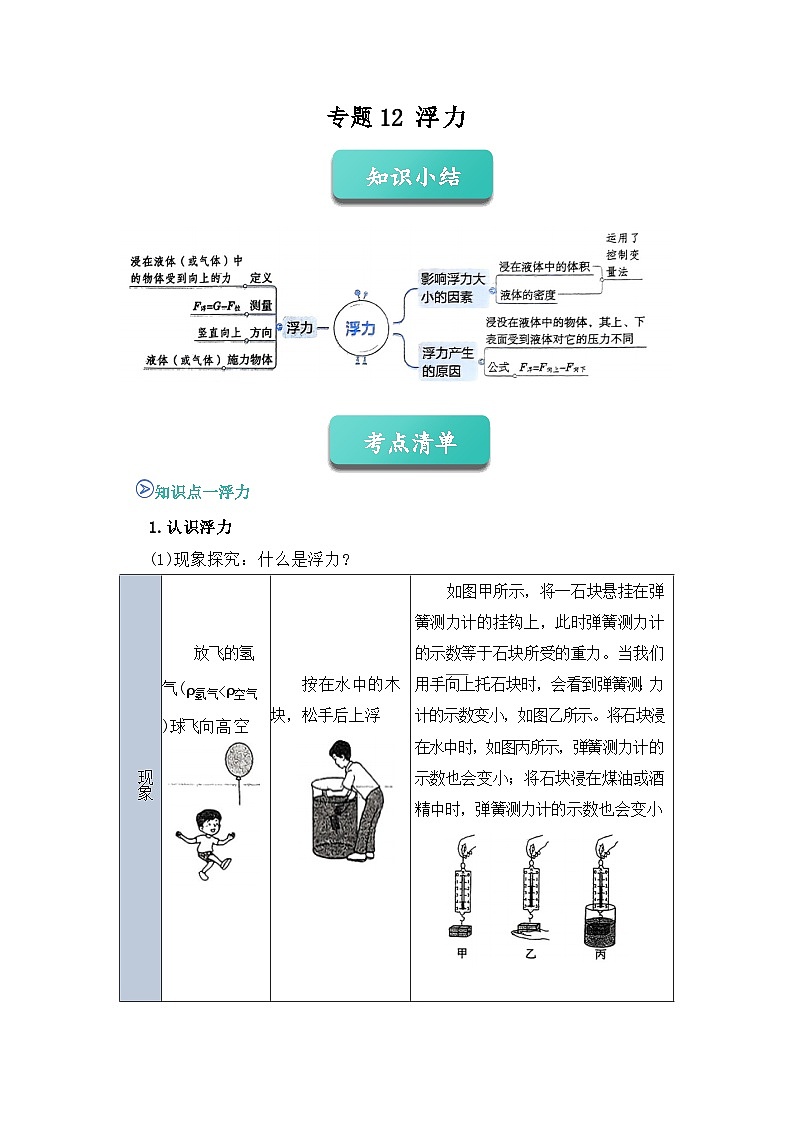 专题12 浮力(知识点+例题+习题)-2024-2025学年八下物理期末考点专题大串讲(人教版2024)(解析版)第1页