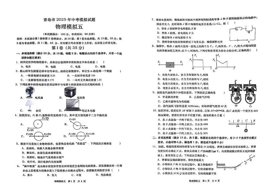 2025年山东省青岛市经济技术开发区第四中学中考三模物理试题(中考模拟)第1页