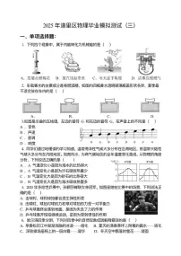 2025年黑龙江省哈尔滨市道里区中考三模物理试题(中考模拟)