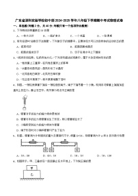 广东省深圳实验学校初中部2024-2025学年八年级下学期期中考试物理试卷