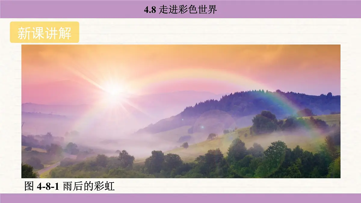 教科版(2024)八年级物理上册 4.8 走进彩色世界(课件)第4页