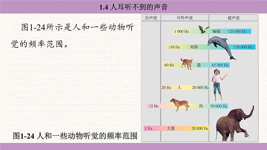 蘇科版（2024）八年級物理上冊 1.4 人耳聽不到的聲音（課件）第6頁
