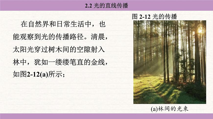 苏科版(2024)八年级物理上册 2.2 光的直线传播(课件)第8页