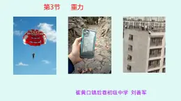 7.3 重力 課件 人教版（2024）初中物理八年级下册