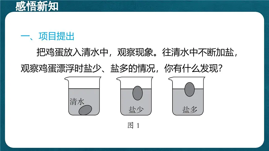 10.4 跨学科实践:制作微型密度计(课件)初中物理人教版(2024)八年级下册第2页