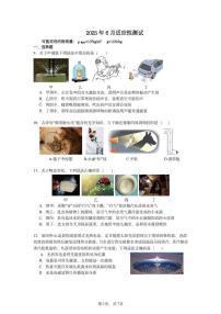 2025年湖北省武汉武昌区中考模拟物理试题(二)(中考模拟)