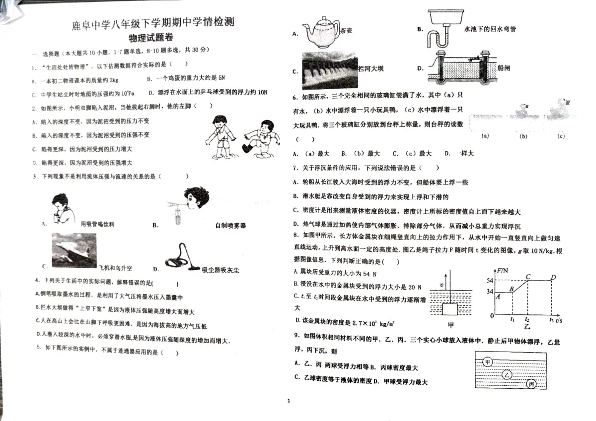 云南省石林县鹿阜中学2024-2025学年八年级下学期期中学情检测物理试题卷第1页