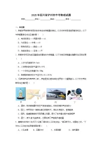 2025年四川省泸州市中考物理试题（附答案解析）