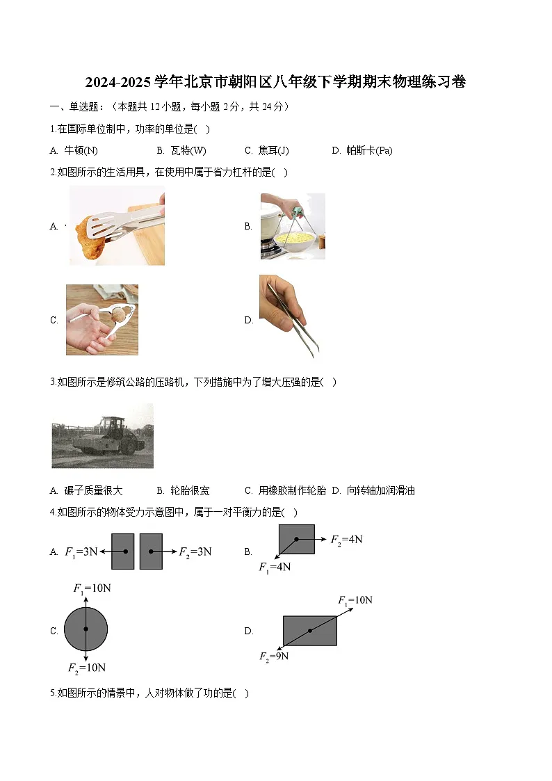 北京市朝阳区2024-2025学年八年级下学期期末 物理练习卷第1页